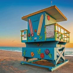 Best reviews of ✨ Ceaco 300 Pieces Miami 🔔