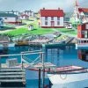 Best reviews of 🔥 Ravensburger 1000 Pieces Greenspond Harbor 🔥