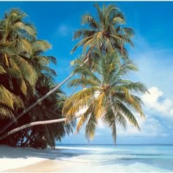 Outlet 🎉 Tomax Puzzles 2000 Pieces Maldive Island 🎁