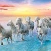 Best Sale 🤩 Trefl 500 Pieces Galloping White Horses ✔️ -BEACH & OCEAN Puzzles Shop 5900511372892