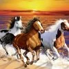 Buy 🧨 Wooden City Varies Pieces Wild Horses On The Beach 🔔 -BEACH & OCEAN Puzzles Shop 5904151822601 1