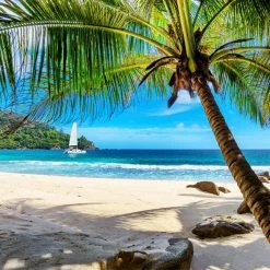 Budget 🧨 Wooden City 505 Pieces Paradise Island Beach 🌟