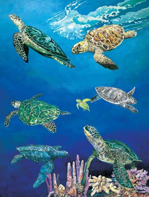 Wholesale 👏 Heritage Puzzles 550 Pieces Majestic Sea Turtles 👏 -BEACH & OCEAN Puzzles Shop 654497405024 X