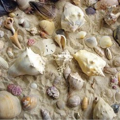 Best Pirce 😍 Heritage Puzzles 550 Pieces She Sells Sea Shells 🥰