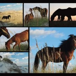 Best reviews of 🎁 Heritage Puzzles 550 Pieces Wild Horses 😍