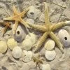 Deals 😍 Heritage Puzzles 1000 Pieces Sea Stars 🧨 -BEACH & OCEAN Puzzles Shop 654497405789