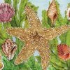 Flash Sale 🥰 Wellspring 500 Pieces Starfish Kelp ⭐ -BEACH & OCEAN Puzzles Shop 784229068255 1