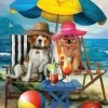 Coupon 😀 SunsOut 300 Pieces Beach 🦮 Dogs 🎉 -BEACH & OCEAN Puzzles Shop 796780288843 1a