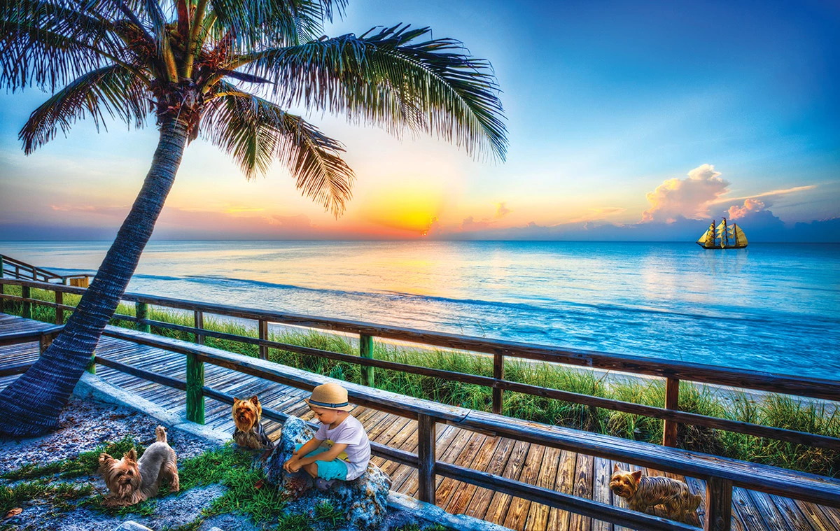 Flash Sale π SunsOut 550 Pieces End Of Day Play π 3 Flash Sale π SunsOut 550 Pieces End Of Day Play π