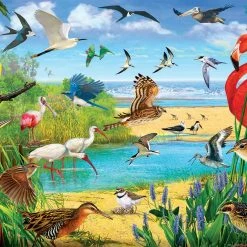 Cheap 💯 SunsOut 1000 Pieces Florida Birds 🛒