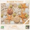 Discount 👍 MI Puzzles 1000 Pieces Seashore Seashells 😉 -BEACH & OCEAN Puzzles Shop 813461028038