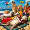 Best reviews of 🥰 Anatolian 260 Pieces Cats On The Beach ✨