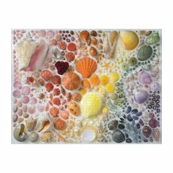 Discount ⌛ Galison 2000 Pieces Rainbow Seashells ✔️