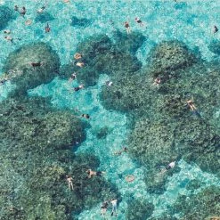 Top 10 🎁 Galison 500 Pieces Gray Malin Beach 🎁 -BEACH & OCEAN Puzzles Shop 9780735357242 b2