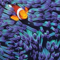 Coupon ⭐ Tomax Puzzles 1000 Pieces Anemone Clown Fish 👍