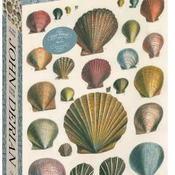 Best Pirce 😀 Workman Publishing 1000 Pieces Shells 👍
